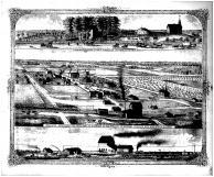Worden Residence and Premises, New City of Worden Bird's Eye View, Madison County 1873 Microfilm